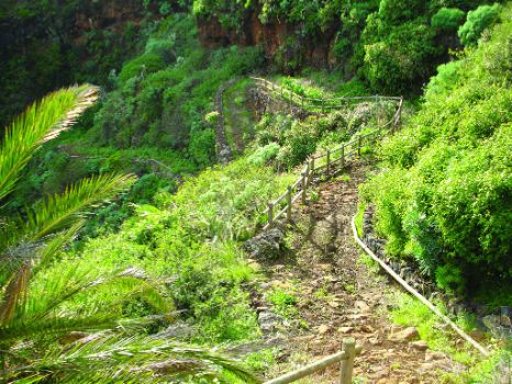 Camino recorriendo el Barranco del Agua